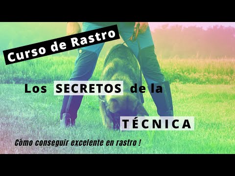 Los  [SECRETOS]  del Rastro! Aprende a enseñar la técnica a tu perro para conseguir un Excelente 💪