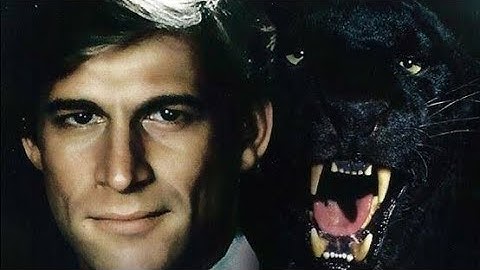 Manimal | Intro (1983)