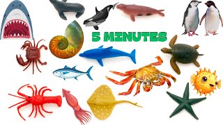 5 Minutes Sea Animals in English for Kids and Toddlers. Ocean animals-Shark, Squid ,Whale,Crab