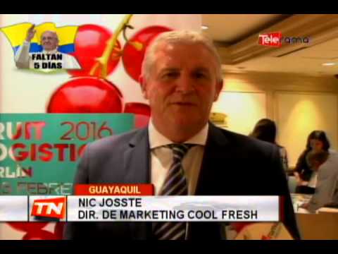 En un 15% se incrementó la exportación de banano en el 2014