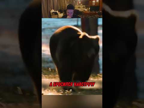 Ковбои Встретили Медведя в Лесу 😱🔥