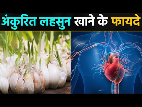 वीडियो: क्या अंकुरित लहसुन खा सकते हैं?