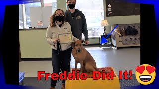 Completed his basic obedience