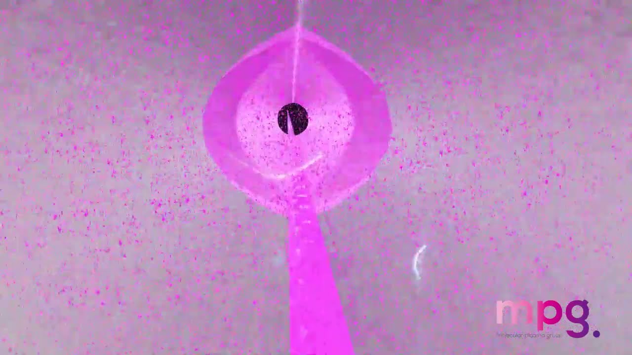 MPG fiber & tow functionalization technology