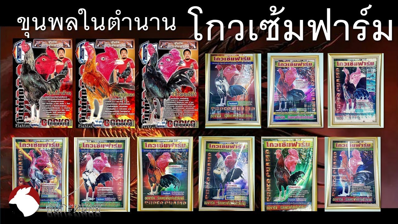 ขุนพลในตำนาน โกวเซ้มฟาร์ม