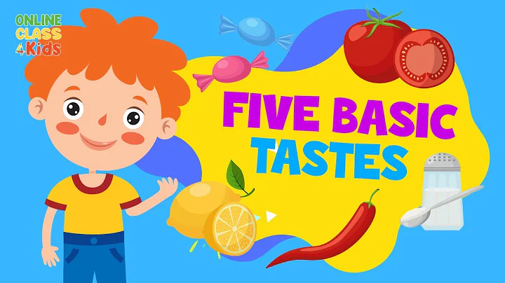 Five Tastes | The Five Basic Tastes | Sense of Taste | Science Lesson for Kids - DayDayNews