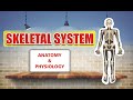 ANATOMY & PHYSIOLOGY OF SKELETAL SYSTEM | GPAT-2020 | PHARMACIST EXAM | RAILWAY PHARMACIST