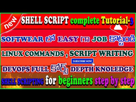 shell scripting interview
