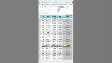 领导喜欢的带百分比的数据条怎么做？ #excel技巧 #office办公技巧 #办公技巧 #文员 #数据条