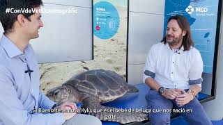 Hablamos de los océanos y One Health con Daniel García Párraga del Oceanografic | Con V de Vet