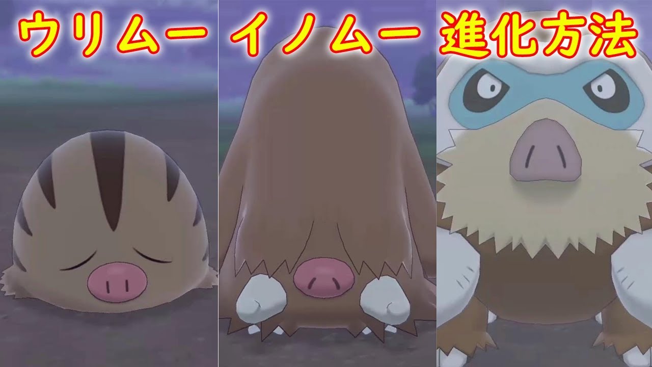 ウリムー イノムー マンムー 進化方法 攻略 ポケモン ソード シールド ポケモン剣盾 Youtube