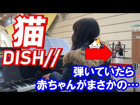 【ストリートピアノ】 DISH//「猫」を弾いてみた（むつこピアノ教室）