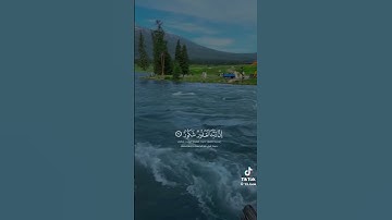 ارح سمعك _ قرآن كريم _ عامر السعيدي 🤍❤#quran #قرآن #عامر_السعيدي