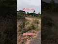 Site for sale.... #primelocation #realestate