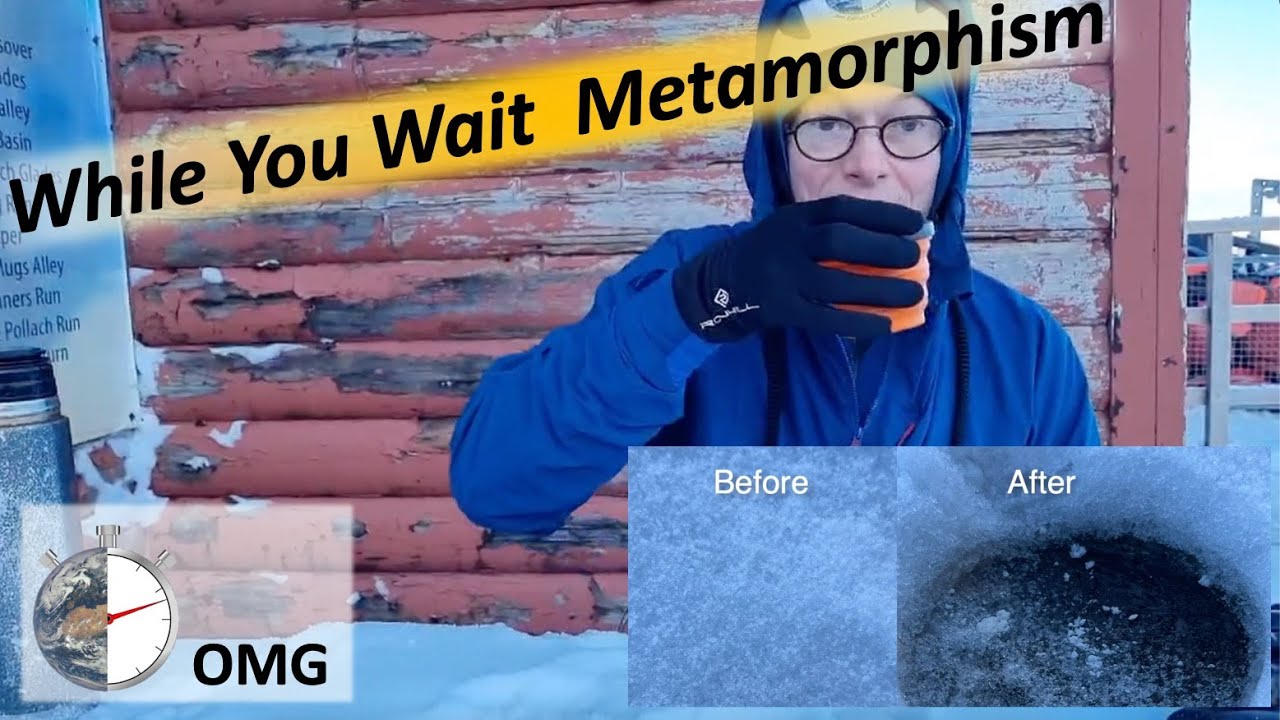 While You Wait Metamorphism.
