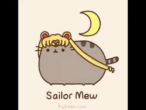 Sailor meow