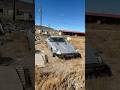 ABANDONED JDM LEGEND FOUND 🌵 #jdm #jdmcars #jdmculture #abandoned  #abandoned #classiccar #fyp