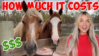 HOW MUCH DOES IT COST TO OWN A HORSE in 2023!? | DETAILED NUMBERS $$