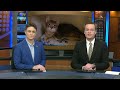 CMHS to stop services for Columbia animal control at new municipal shelter