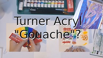 A Detailed Test and Review of Turner Acryl Gouache (Prime B) Paint Set