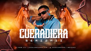 Dj Remi Pty Cueriadera Sería Mixtape CEODLCRECORDS.COM #dj #mixtape #plena507
