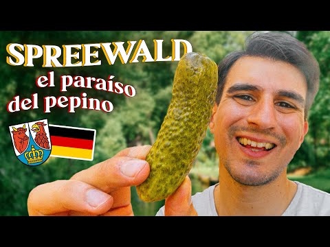 Video: Guía del Spreewald