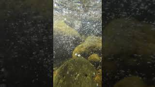 2025-08-19 Tu 07-53 Underwater Cold Mountain River 4K 60Fps