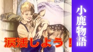 泣かずに終わらない‼️『子鹿物語』子供から大人になると言うこと