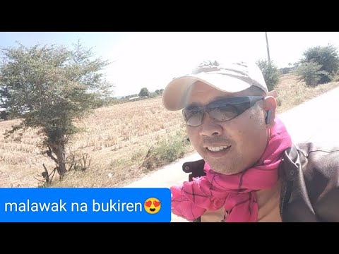malawak na taniman Ng sebuyas aking pinasyalan😱😍
