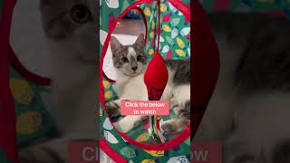 Click Below To Check It Out