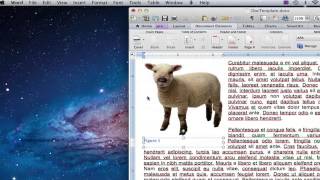 How to Use Figure Captions in Microsoft Word : Using MS Word