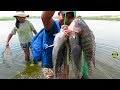 HOMBRE pesca de TILAPIAS GRANDES DE LAGUNA - pesca de tilapias - fishing with atraraya