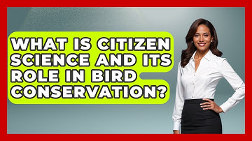 What Is Citizen Science And Its Role In Bird Conservation? - Bird Watching Diaries