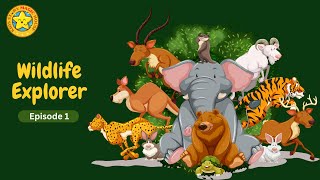 🌳Wildlife Explorers - Episode 1 #animals