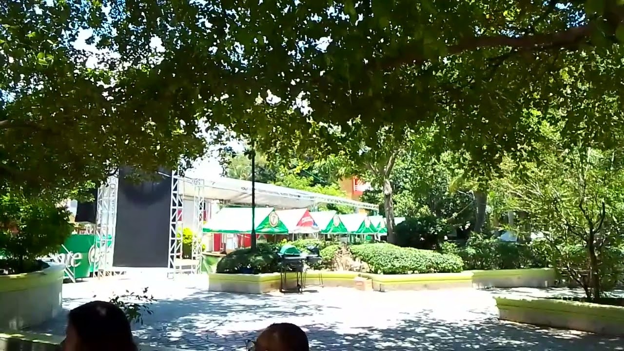 Fiestas patronales de El cercado
