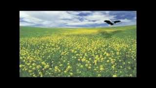 VODOU SPORTS CLUB - THE KINGDOM OF GOD (HD)
Rural Sr.s LE VODOU SPORTS CLUB 2010 (HD Version). The Gospel according to Matthew 13:31-35, parable of the mustard seed.
TO WHAT SHALL WE LIKEN
THE KINGDOM OF GOD?
TO WHAT SHALL WE LIKEN
THE KINGDOM OF LOVE?
ITS LIKE A MUSTARD SEED
SMALLER THAN ALL SEEDS ON EARTH
IT SHOOTS OUT LARGE BRANCHES
GROWIN, GROWIN, GROWIN
SO THAT THE BIRDS OF THE AIR
MAY NEST UNDER ITS SHADE
IT IS LIKE A MUSTARD SEED
GROWIN GREATER THAN ALL HERBES
SMALLER THAN ALL SEEDS ON EARTH
GROWIN GREATER THAN US ALL VODOU SPORTS CLUB - THE KINGDOM OF GOD (HD)