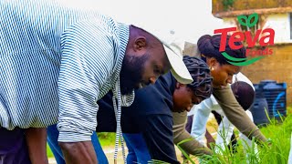 MEET SOME OF TEVA FOODS INTERNS | GROOMING AFRICA’s FARMERS
