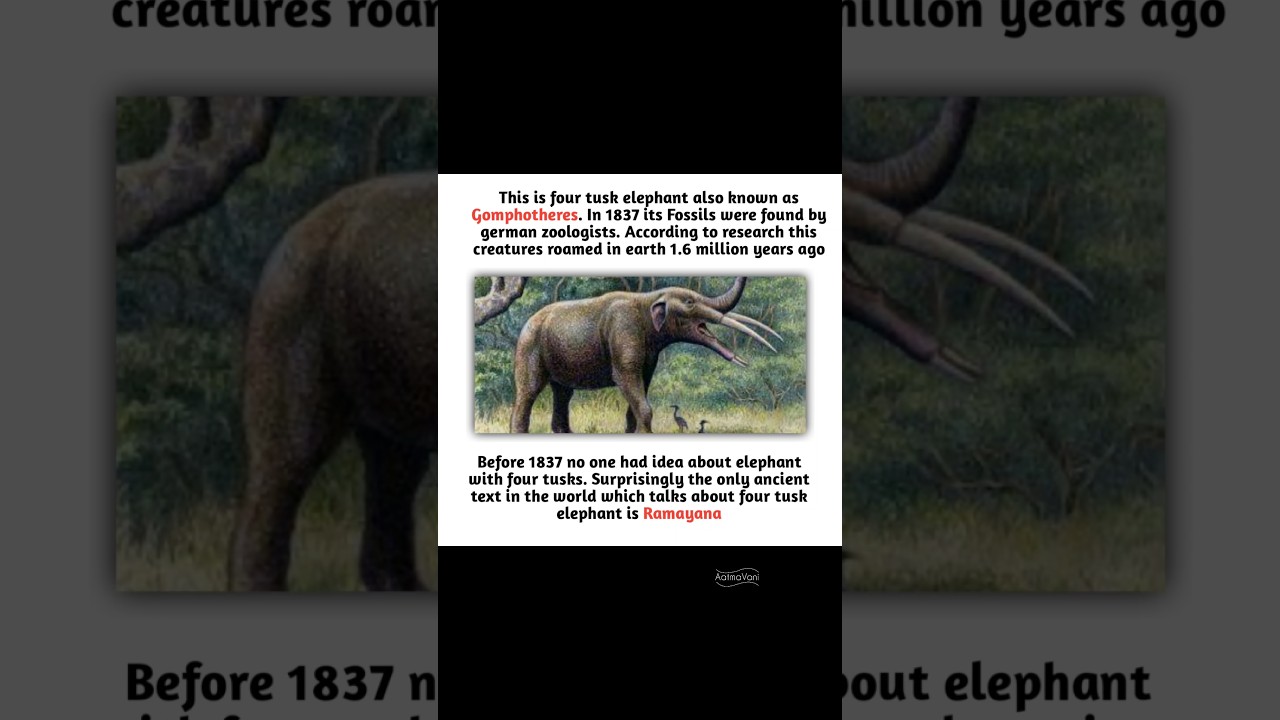 Science Catches Up to the Ramayana: The Four-Tusk Elephant Discovery