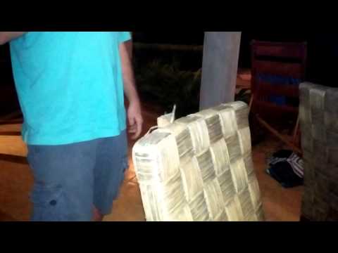 Giant Costa Rican Grasshopper
