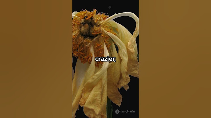 Unveiling The Mysteries Of The Corpse Flower |#facts |#knoweledgefacts |#knowledgism