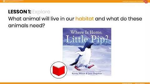 mySci Unit 11 Lesson 1 Summary