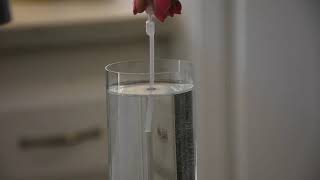 Can you test your own water for lead?