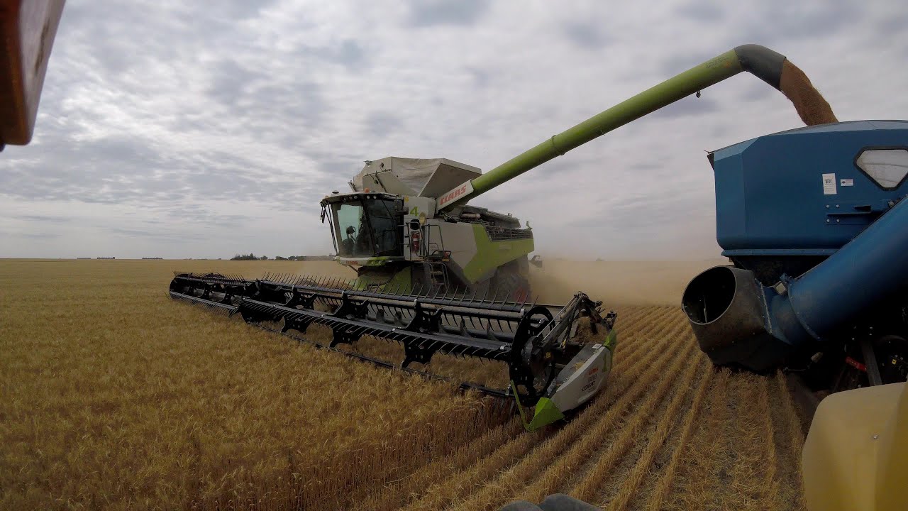Saskatchewan Harvest 2020 YouTube