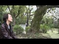 桜の道 ♪堀江淳