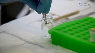 Ploidy Work Station (PWS) - Localise, segment, measure and classify cell nuclei in monolayers