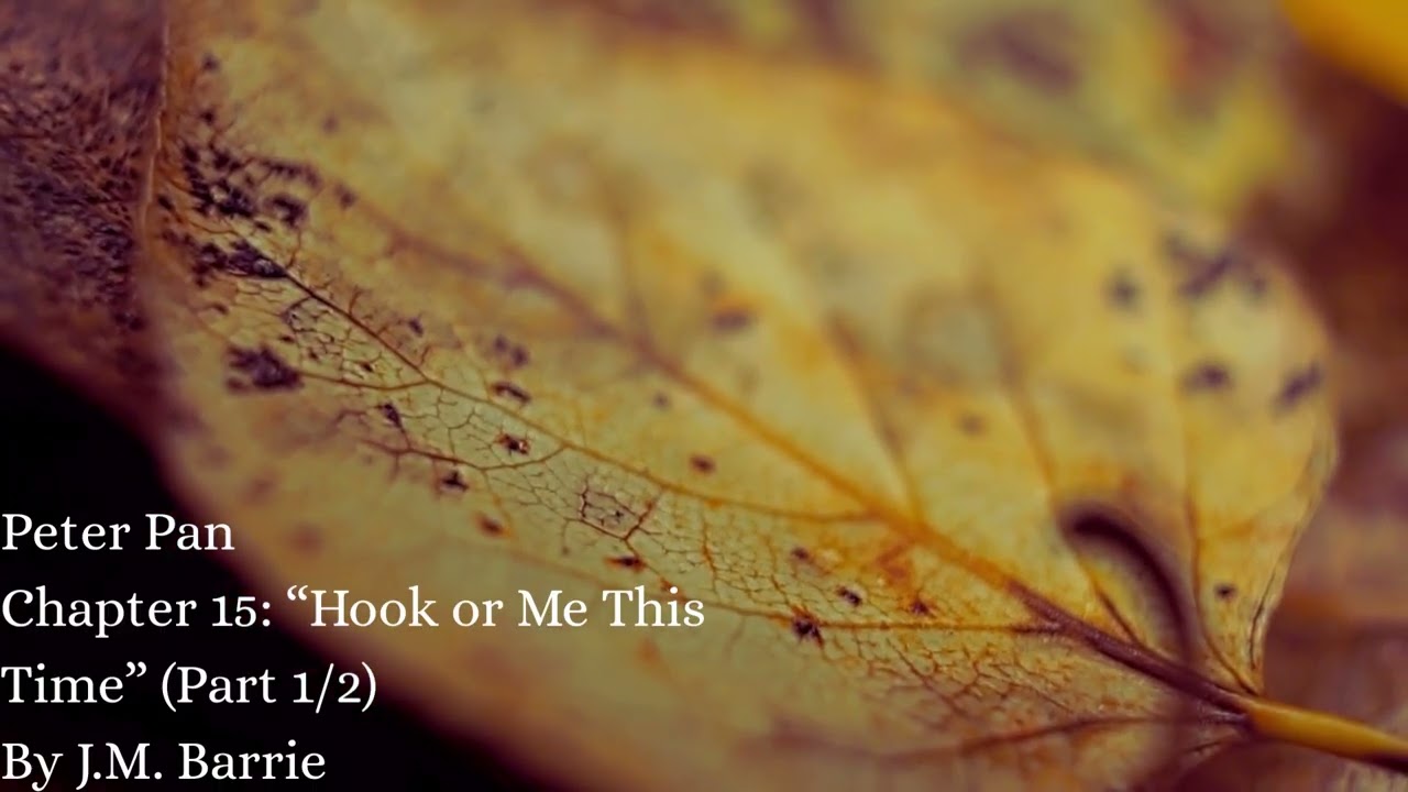 ASMR: Peter Pan: Chapter 15: 