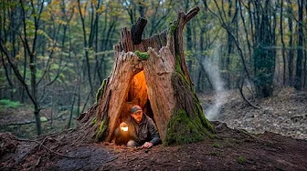 Building a Warm and Cozy Secret Shelter Deep Inside a large Tree. Bushcraft, Survival, Dugout.
