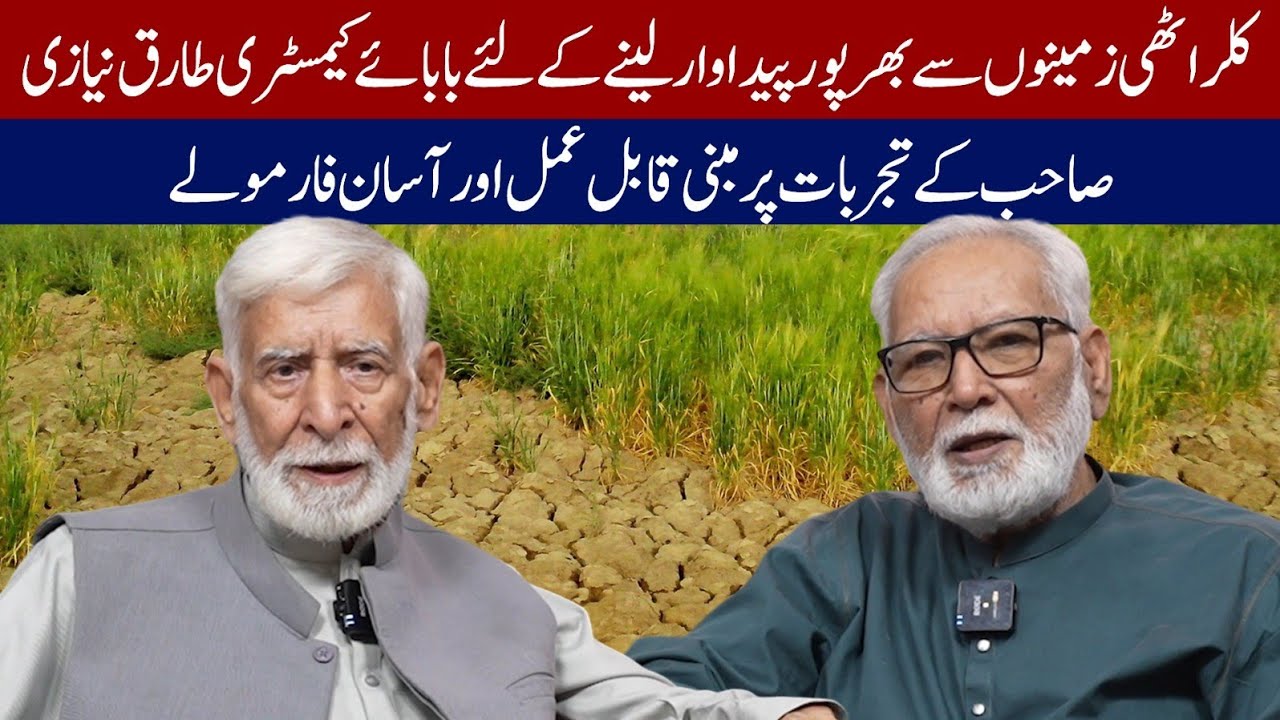 گدھا ،مسافر اور منزل (مولانا رومی )