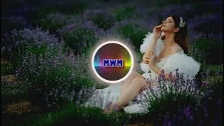 WAYKAP FEAT. EMMI - Everything You Need