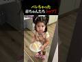 バレちゃった赤ちゃんたち トップ7
